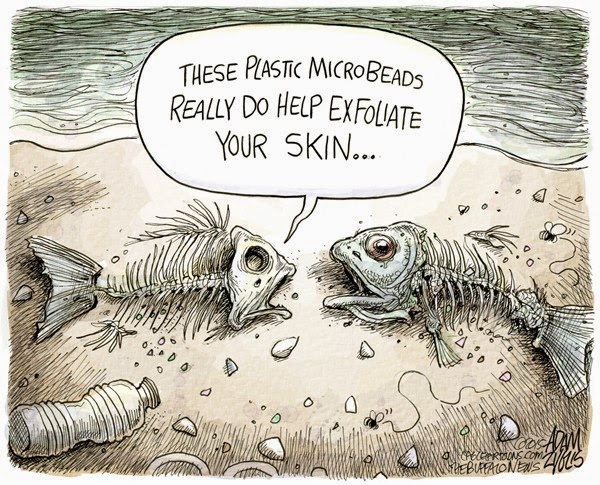 mikroplaster-fiskar